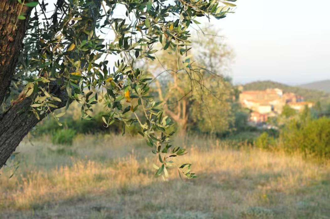 Poggio Falco *